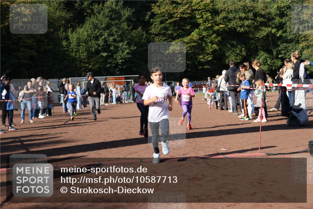 27.09.2026 - 35. Volkslauf durch das schöne Alstertal Strokosch-Dieckow http://msf.ph/oto/10587713 27.09.2026 10:46:58 Ziel 052, 5035, 5014, 5033, 5035, 5052, 5981 meine-sportfotos.de