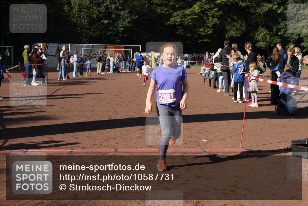 27.09.2026 - 35. Volkslauf durch das schöne Alstertal Strokosch-Dieckow http://msf.ph/oto/10587731 27.09.2026 10:47:07 Ziel 5981, 5054, 5981 meine-sportfotos.de