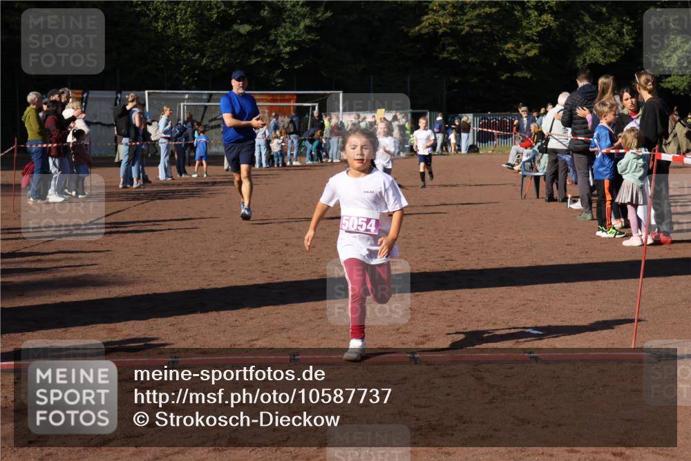 27.09.2026 - 35. Volkslauf durch das schöne Alstertal Strokosch-Dieckow http://msf.ph/oto/10587737 27.09.2026 10:47:12 Ziel 5054, 5048, 5049, 5053, 5054 meine-sportfotos.de
