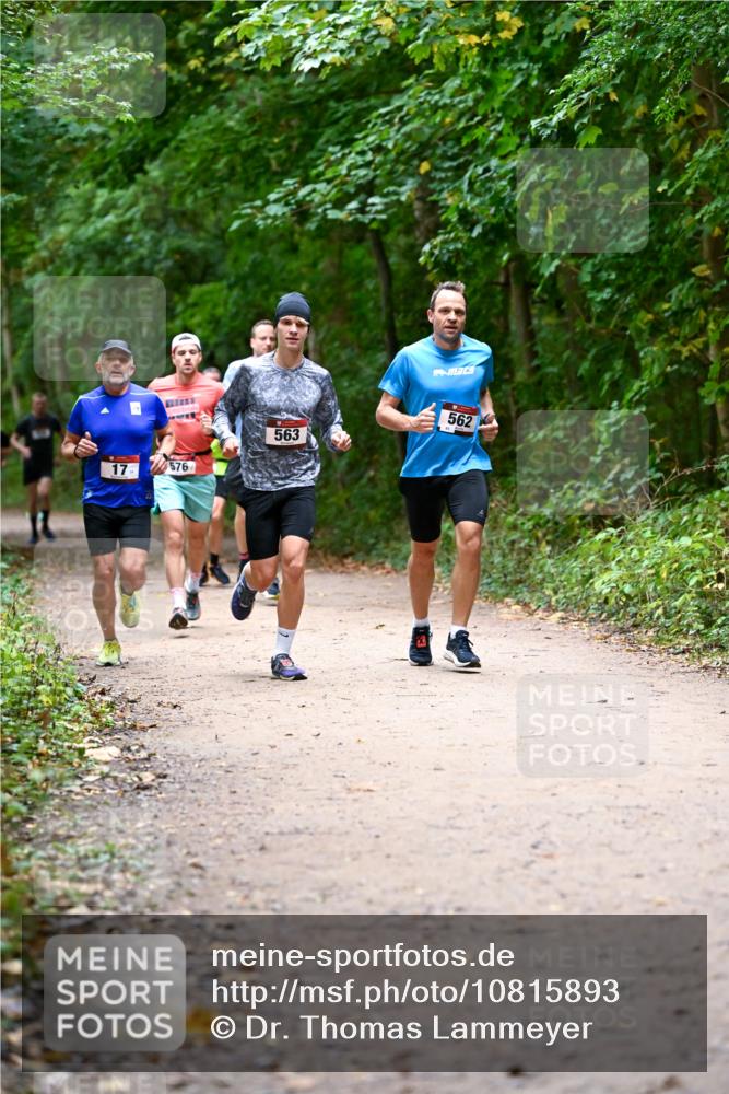 11.10.2026 - Bramfelder Halbmarathon 2026 Dr. Thomas Lammeyer http://msf.ph/oto/10815893 11.10.2026 09:50:15 Laufen 17, 563, 576, 562 meine-sportfotos.de