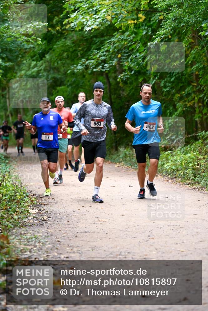 11.10.2026 - Bramfelder Halbmarathon 2026 Dr. Thomas Lammeyer http://msf.ph/oto/10815897 11.10.2026 09:50:16 Laufen 17, 6, 563, 562 meine-sportfotos.de