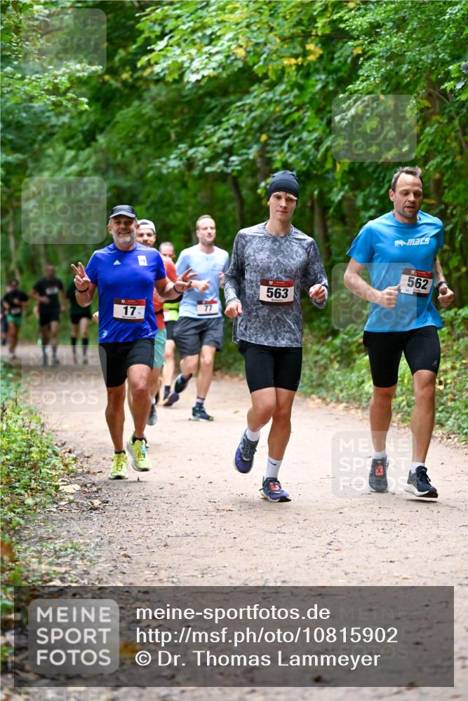 11.10.2026 - Bramfelder Halbmarathon 2026 Dr. Thomas Lammeyer http://msf.ph/oto/10815902 11.10.2026 09:50:17 Laufen 17, 77, 563, 562 meine-sportfotos.de