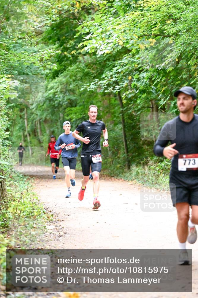 11.10.2026 - Bramfelder Halbmarathon 2026 Dr. Thomas Lammeyer http://msf.ph/oto/10815975 11.10.2026 09:50:37 Laufen 231, 3, 773 meine-sportfotos.de