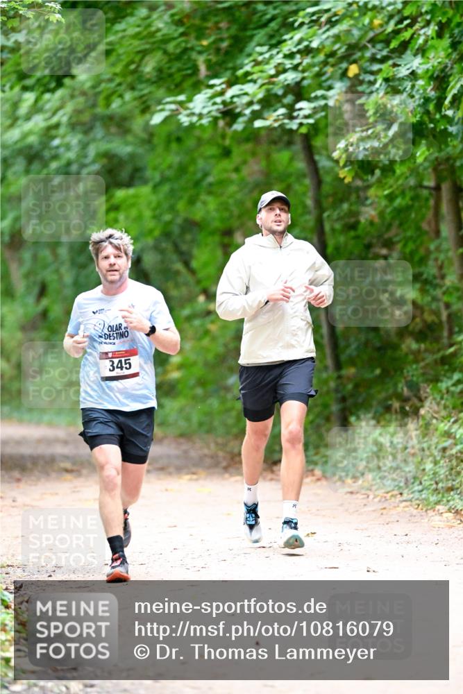 11.10.2026 - Bramfelder Halbmarathon 2026 Dr. Thomas Lammeyer http://msf.ph/oto/10816079 11.10.2026 09:51:05 Laufen 345 meine-sportfotos.de