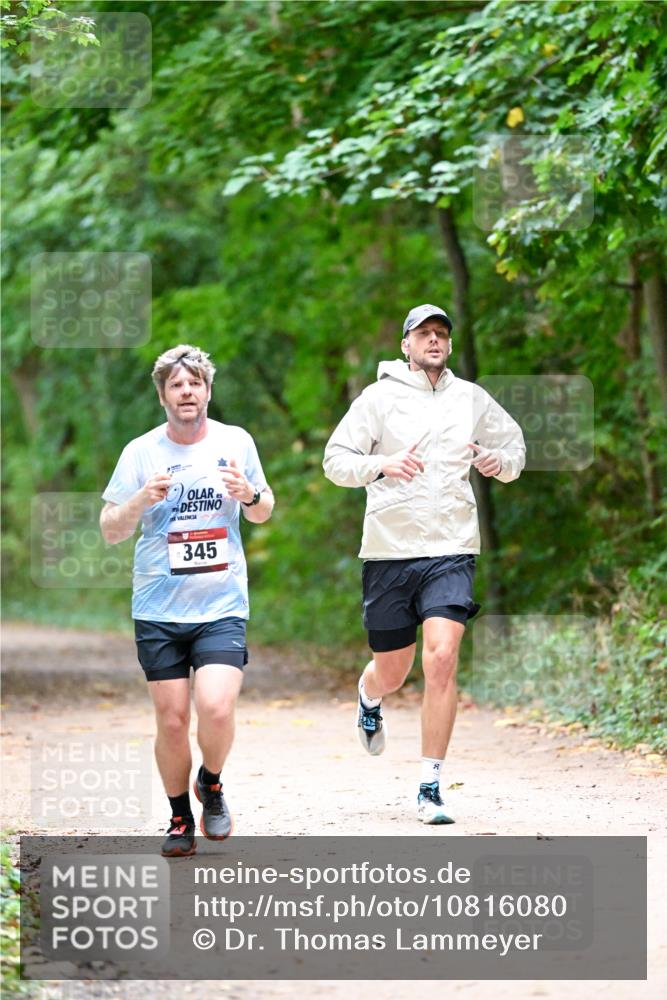 11.10.2026 - Bramfelder Halbmarathon 2026 Dr. Thomas Lammeyer http://msf.ph/oto/10816080 11.10.2026 09:51:05 Laufen 345, 8 meine-sportfotos.de