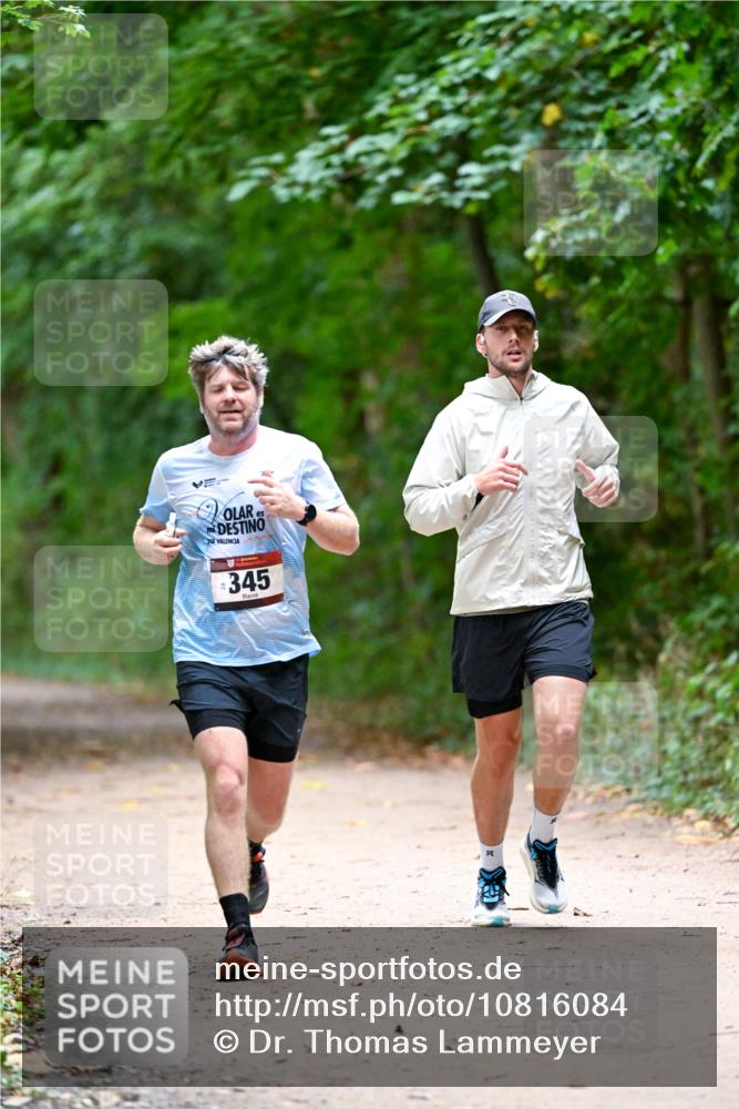 11.10.2026 - Bramfelder Halbmarathon 2026 Dr. Thomas Lammeyer http://msf.ph/oto/10816084 11.10.2026 09:51:05 Laufen 345 meine-sportfotos.de