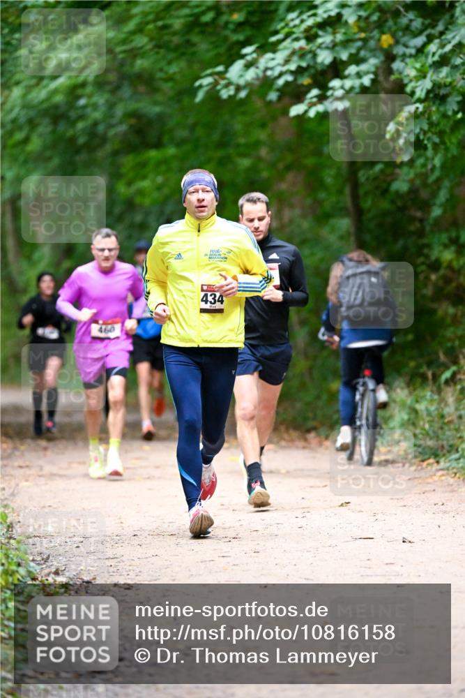 11.10.2026 - Bramfelder Halbmarathon 2026 Dr. Thomas Lammeyer http://msf.ph/oto/10816158 11.10.2026 09:51:54 Laufen 460, 36, 434 meine-sportfotos.de