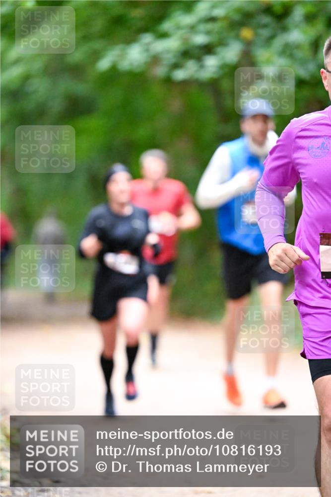 11.10.2026 - Bramfelder Halbmarathon 2026 Dr. Thomas Lammeyer http://msf.ph/oto/10816193 11.10.2026 09:52:00 Laufen  meine-sportfotos.de