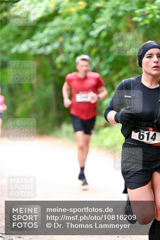 11.10.2026 - Bramfelder Halbmarathon 2026 Dr. Thomas Lammeyer http://msf.ph/oto/10816209 11.10.2026 09:52:03 Laufen 614 meine-sportfotos.de