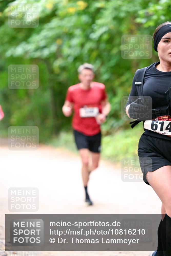 11.10.2026 - Bramfelder Halbmarathon 2026 Dr. Thomas Lammeyer http://msf.ph/oto/10816210 11.10.2026 09:52:03 Laufen 35, 614 meine-sportfotos.de