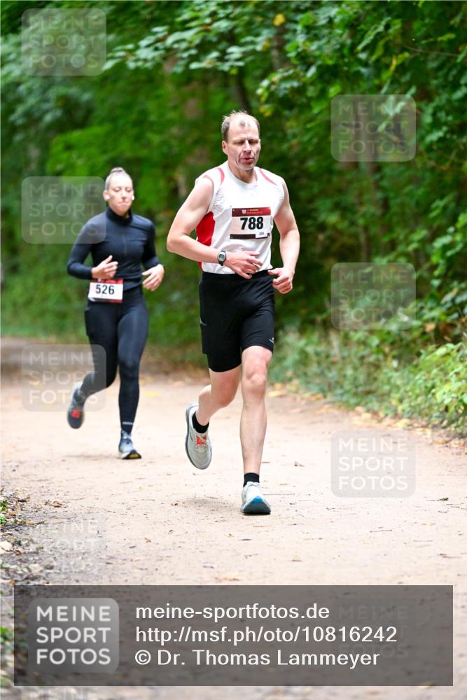 11.10.2026 - Bramfelder Halbmarathon 2026 Dr. Thomas Lammeyer http://msf.ph/oto/10816242 11.10.2026 09:52:09 Laufen 526, 788, 245 meine-sportfotos.de