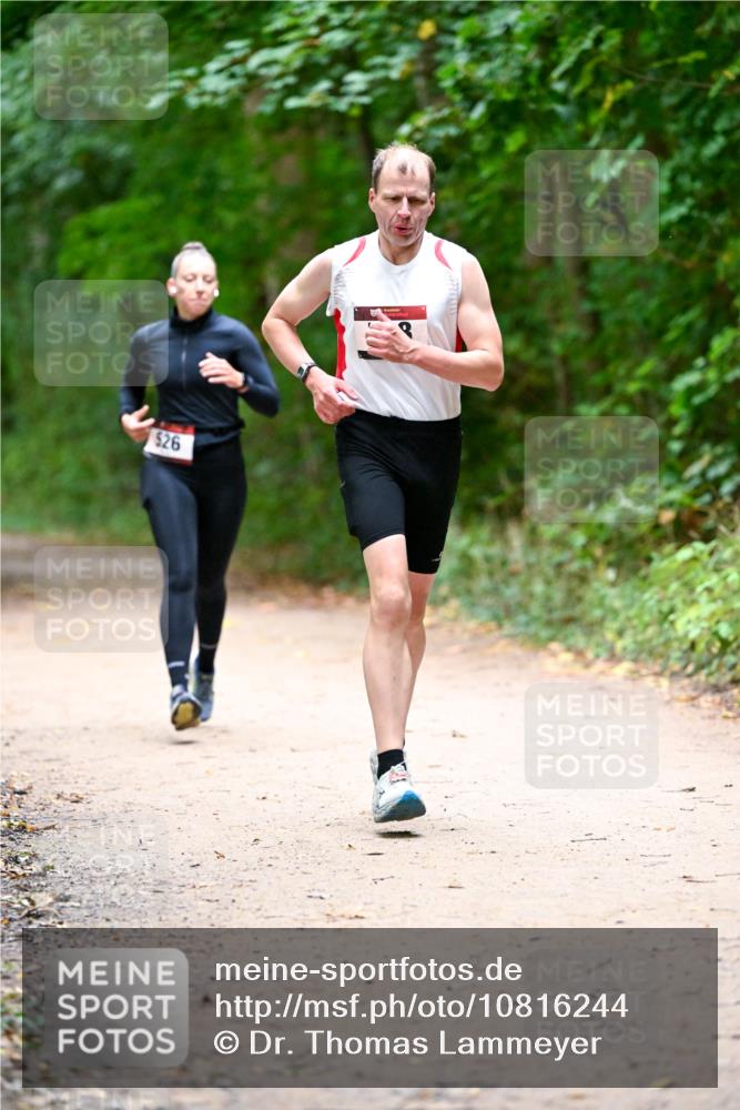 11.10.2026 - Bramfelder Halbmarathon 2026 Dr. Thomas Lammeyer http://msf.ph/oto/10816244 11.10.2026 09:52:10 Laufen 526 meine-sportfotos.de