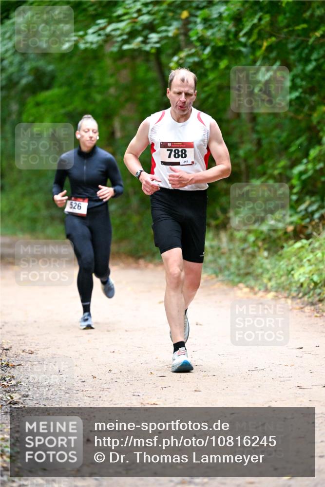 11.10.2026 - Bramfelder Halbmarathon 2026 Dr. Thomas Lammeyer http://msf.ph/oto/10816245 11.10.2026 09:52:10 Laufen 526, 788, 245 meine-sportfotos.de