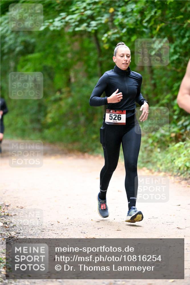 11.10.2026 - Bramfelder Halbmarathon 2026 Dr. Thomas Lammeyer http://msf.ph/oto/10816254 11.10.2026 09:52:11 Laufen 526 meine-sportfotos.de