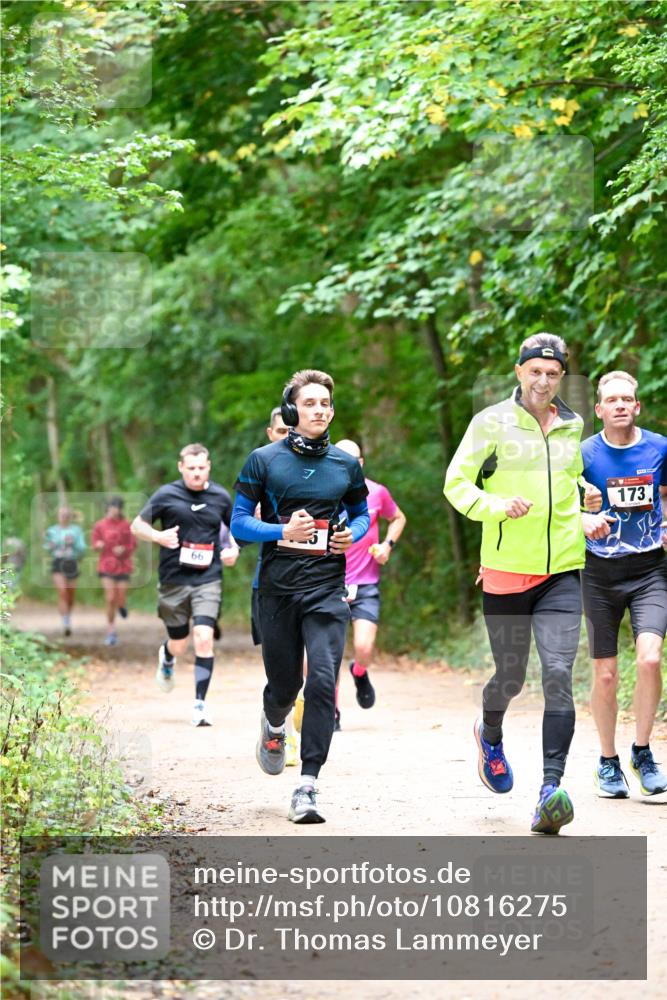 11.10.2026 - Bramfelder Halbmarathon 2026 Dr. Thomas Lammeyer http://msf.ph/oto/10816275 11.10.2026 09:52:26 Laufen 66, 7, 173 meine-sportfotos.de