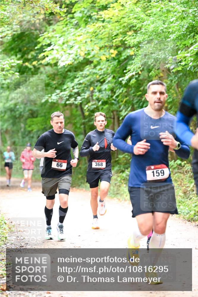 11.10.2026 - Bramfelder Halbmarathon 2026 Dr. Thomas Lammeyer http://msf.ph/oto/10816295 11.10.2026 09:52:30 Laufen 66, 368, 159 meine-sportfotos.de