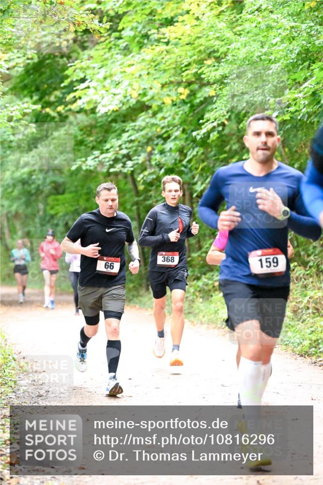 11.10.2026 - Bramfelder Halbmarathon 2026 Dr. Thomas Lammeyer http://msf.ph/oto/10816296 11.10.2026 09:52:30 Laufen 66, 368, 159 meine-sportfotos.de