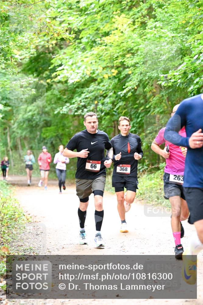11.10.2026 - Bramfelder Halbmarathon 2026 Dr. Thomas Lammeyer http://msf.ph/oto/10816300 11.10.2026 09:52:30 Laufen 66, 368, 263 meine-sportfotos.de