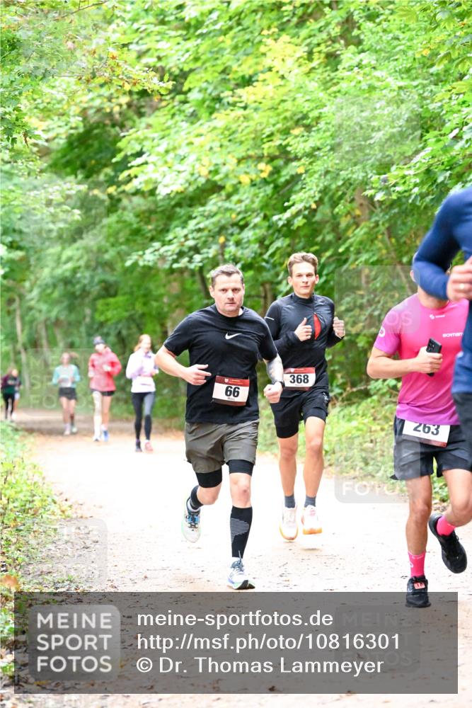 11.10.2026 - Bramfelder Halbmarathon 2026 Dr. Thomas Lammeyer http://msf.ph/oto/10816301 11.10.2026 09:52:30 Laufen 66, 368, 263 meine-sportfotos.de