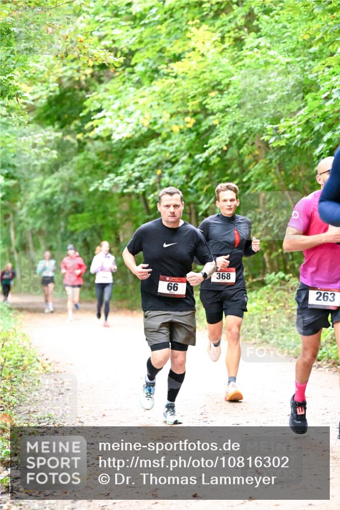 11.10.2026 - Bramfelder Halbmarathon 2026 Dr. Thomas Lammeyer http://msf.ph/oto/10816302 11.10.2026 09:52:31 Laufen 66, 368, 263 meine-sportfotos.de