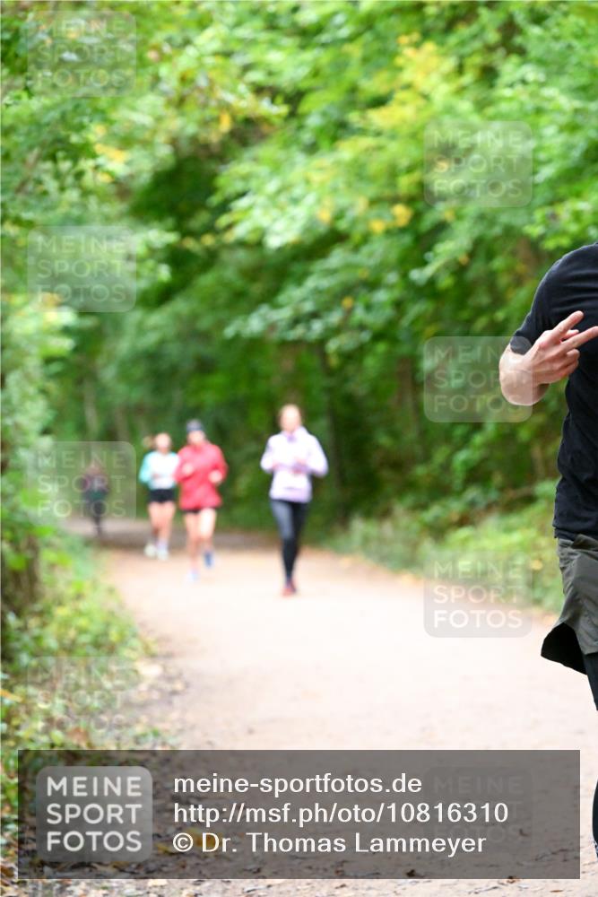 11.10.2026 - Bramfelder Halbmarathon 2026 Dr. Thomas Lammeyer http://msf.ph/oto/10816310 11.10.2026 09:52:32 Laufen  meine-sportfotos.de