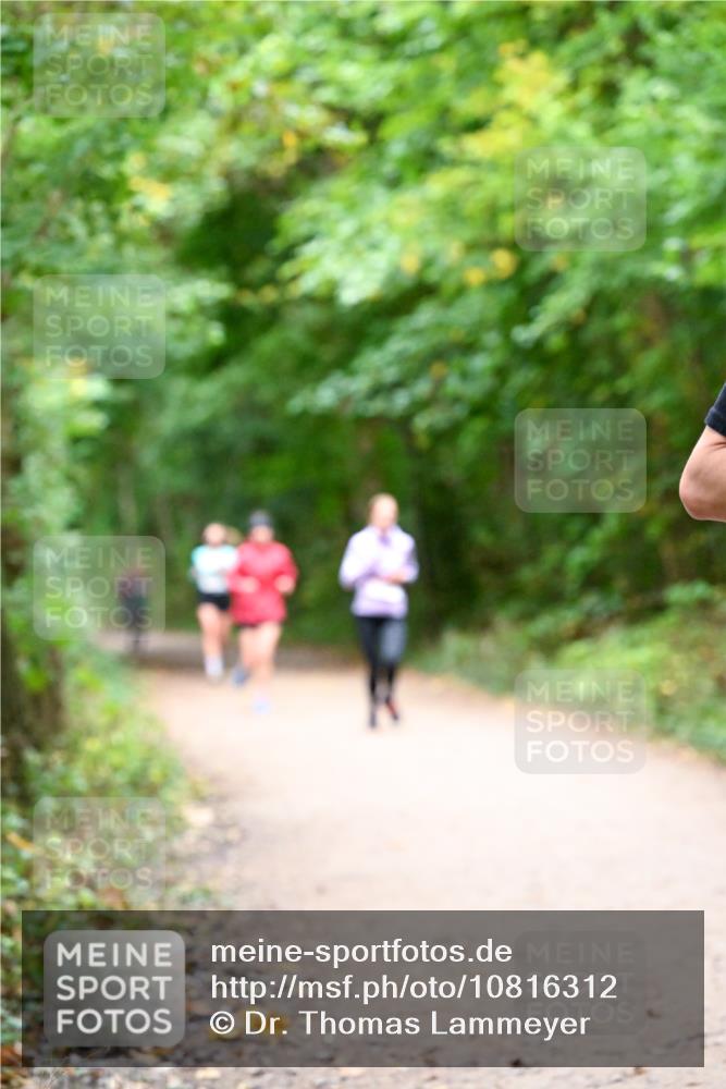 11.10.2026 - Bramfelder Halbmarathon 2026 Dr. Thomas Lammeyer http://msf.ph/oto/10816312 11.10.2026 09:52:32 Laufen  meine-sportfotos.de