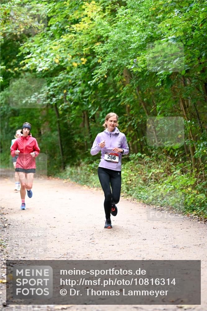 11.10.2026 - Bramfelder Halbmarathon 2026 Dr. Thomas Lammeyer http://msf.ph/oto/10816314 11.10.2026 09:52:35 Laufen 266 meine-sportfotos.de