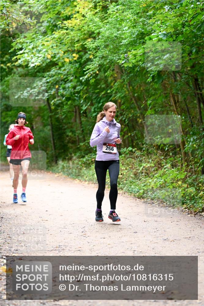 11.10.2026 - Bramfelder Halbmarathon 2026 Dr. Thomas Lammeyer http://msf.ph/oto/10816315 11.10.2026 09:52:35 Laufen 266 meine-sportfotos.de