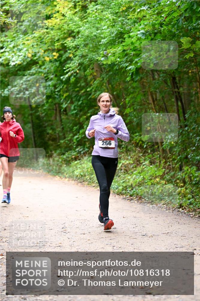 11.10.2026 - Bramfelder Halbmarathon 2026 Dr. Thomas Lammeyer http://msf.ph/oto/10816318 11.10.2026 09:52:36 Laufen 266 meine-sportfotos.de