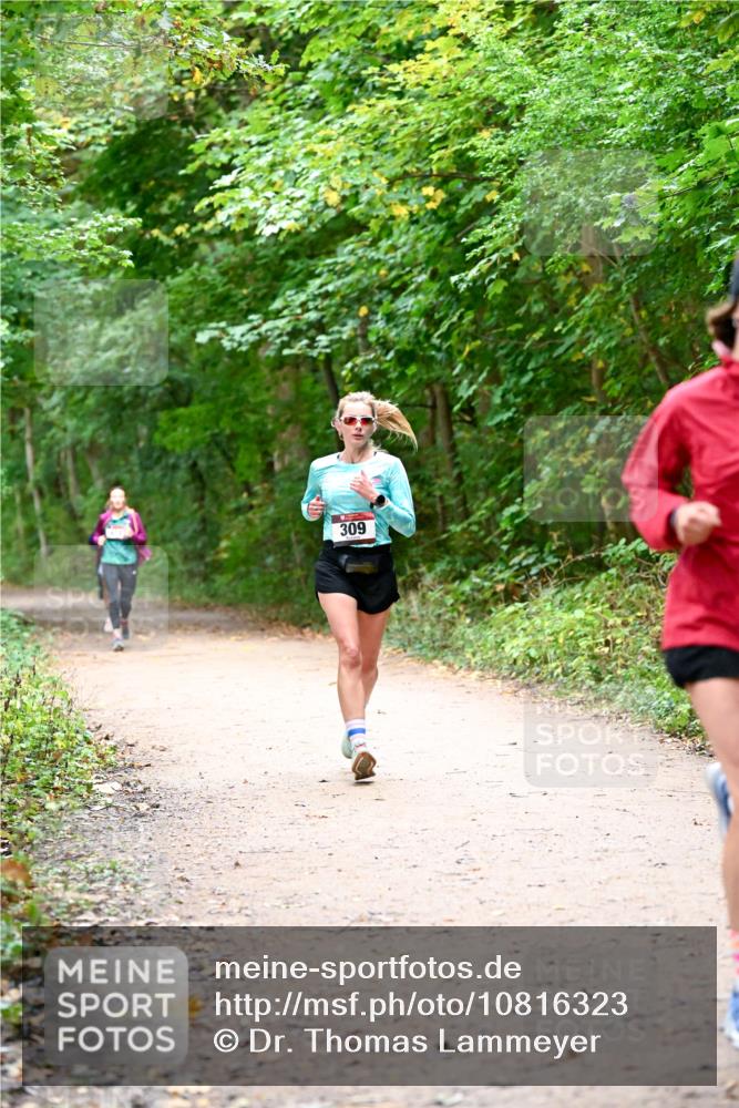 11.10.2026 - Bramfelder Halbmarathon 2026 Dr. Thomas Lammeyer http://msf.ph/oto/10816323 11.10.2026 09:52:38 Laufen 309 meine-sportfotos.de