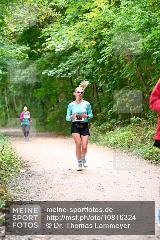 11.10.2026 - Bramfelder Halbmarathon 2026 Dr. Thomas Lammeyer http://msf.ph/oto/10816324 11.10.2026 09:52:38 Laufen 309 meine-sportfotos.de