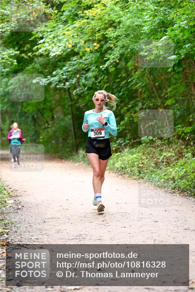 11.10.2026 - Bramfelder Halbmarathon 2026 Dr. Thomas Lammeyer http://msf.ph/oto/10816328 11.10.2026 09:52:39 Laufen 309 meine-sportfotos.de
