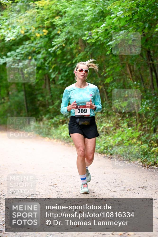11.10.2026 - Bramfelder Halbmarathon 2026 Dr. Thomas Lammeyer http://msf.ph/oto/10816334 11.10.2026 09:52:40 Laufen 309 meine-sportfotos.de
