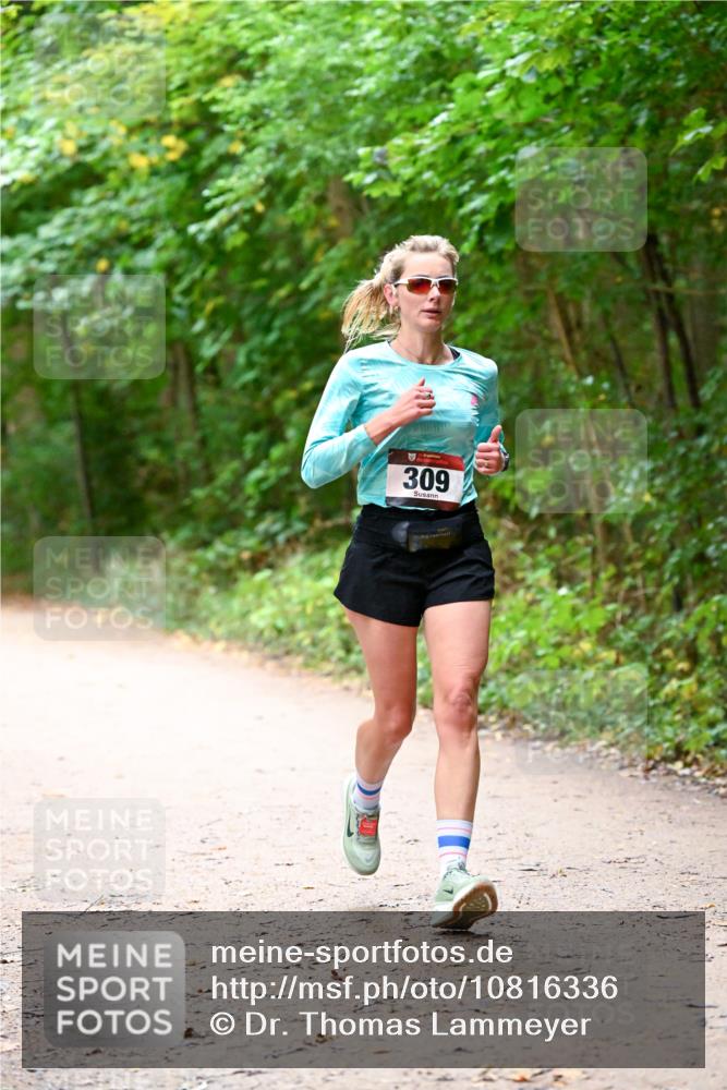 11.10.2026 - Bramfelder Halbmarathon 2026 Dr. Thomas Lammeyer http://msf.ph/oto/10816336 11.10.2026 09:52:40 Laufen 309 meine-sportfotos.de
