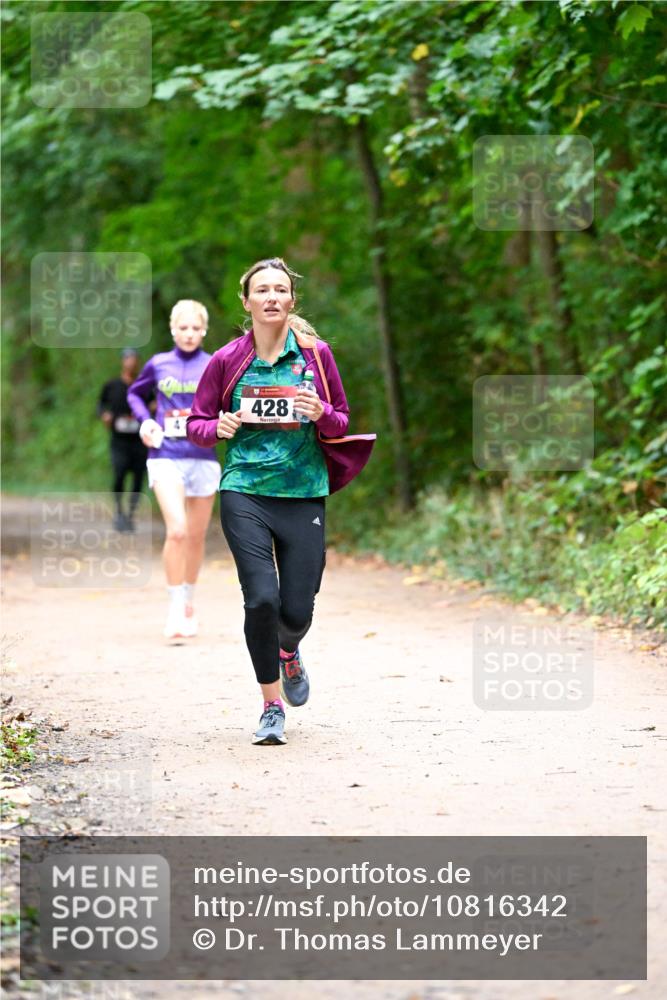 11.10.2026 - Bramfelder Halbmarathon 2026 Dr. Thomas Lammeyer http://msf.ph/oto/10816342 11.10.2026 09:52:43 Laufen 428 meine-sportfotos.de