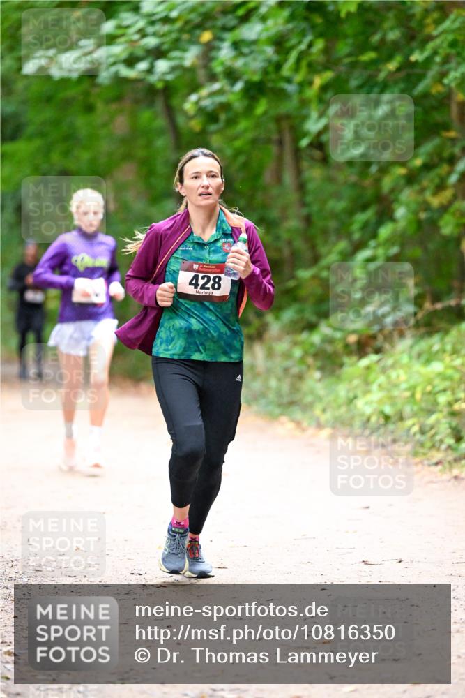 11.10.2026 - Bramfelder Halbmarathon 2026 Dr. Thomas Lammeyer http://msf.ph/oto/10816350 11.10.2026 09:52:44 Laufen 428 meine-sportfotos.de