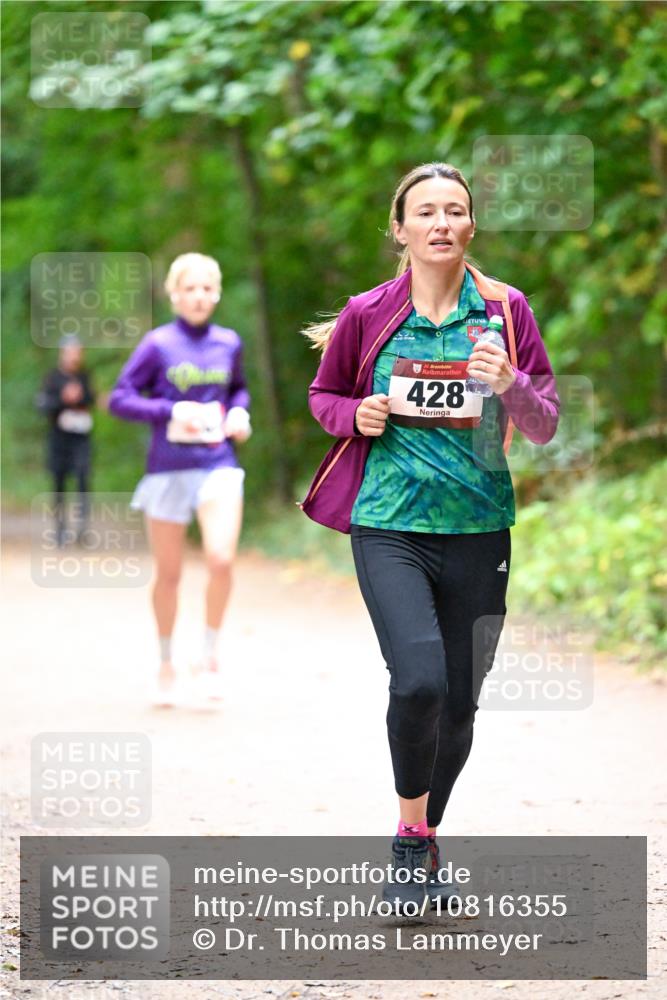 11.10.2026 - Bramfelder Halbmarathon 2026 Dr. Thomas Lammeyer http://msf.ph/oto/10816355 11.10.2026 09:52:44 Laufen 35, 428 meine-sportfotos.de