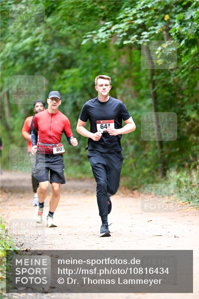 11.10.2026 - Bramfelder Halbmarathon 2026 Dr. Thomas Lammeyer http://msf.ph/oto/10816434 11.10.2026 09:53:09 Laufen 801, 64 meine-sportfotos.de