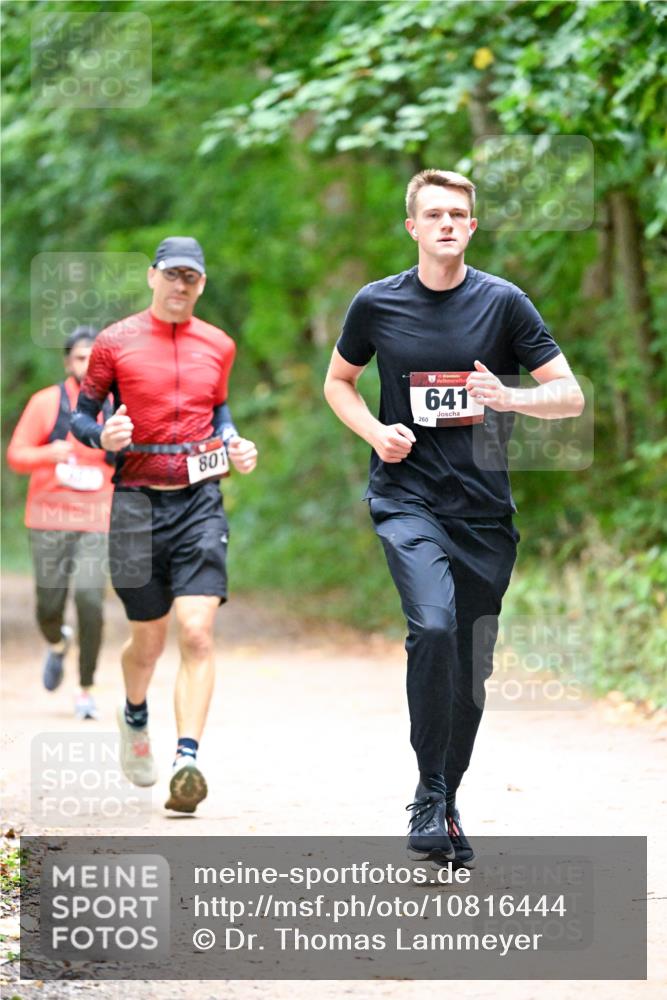 11.10.2026 - Bramfelder Halbmarathon 2026 Dr. Thomas Lammeyer http://msf.ph/oto/10816444 11.10.2026 09:53:10 Laufen 801, 260, 641 meine-sportfotos.de