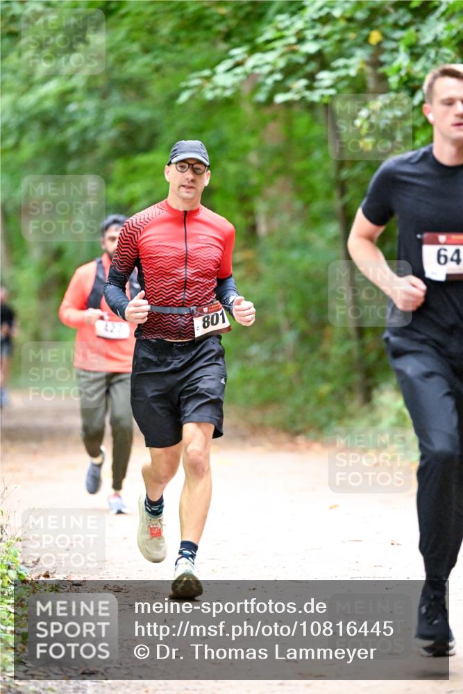 11.10.2026 - Bramfelder Halbmarathon 2026 Dr. Thomas Lammeyer http://msf.ph/oto/10816445 11.10.2026 09:53:11 Laufen 801, 64 meine-sportfotos.de