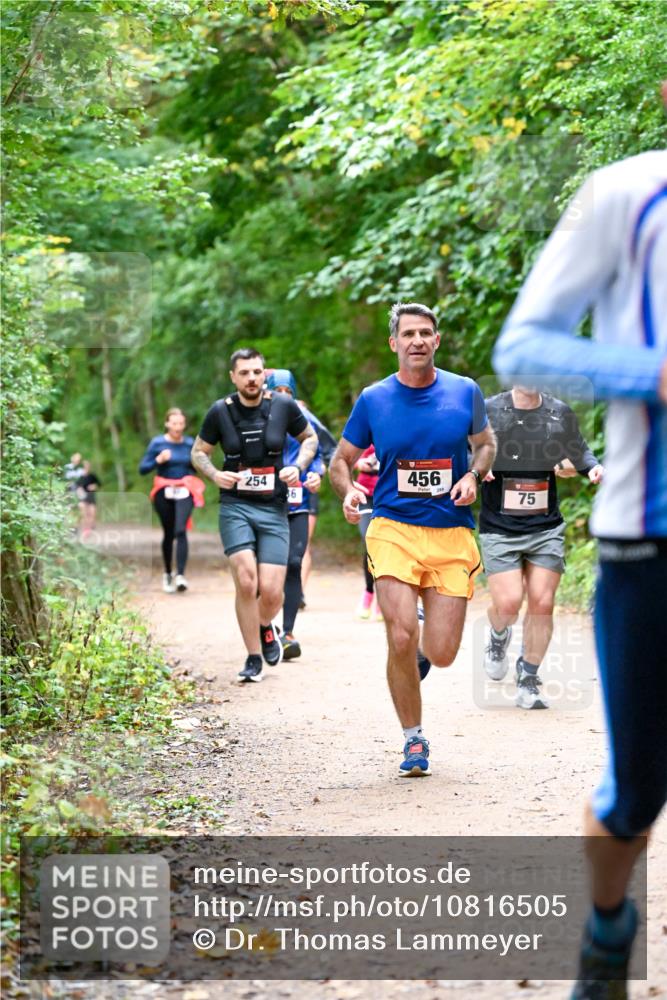 11.10.2026 - Bramfelder Halbmarathon 2026 Dr. Thomas Lammeyer http://msf.ph/oto/10816505 11.10.2026 09:53:25 Laufen 254, 86, 456, 75 meine-sportfotos.de