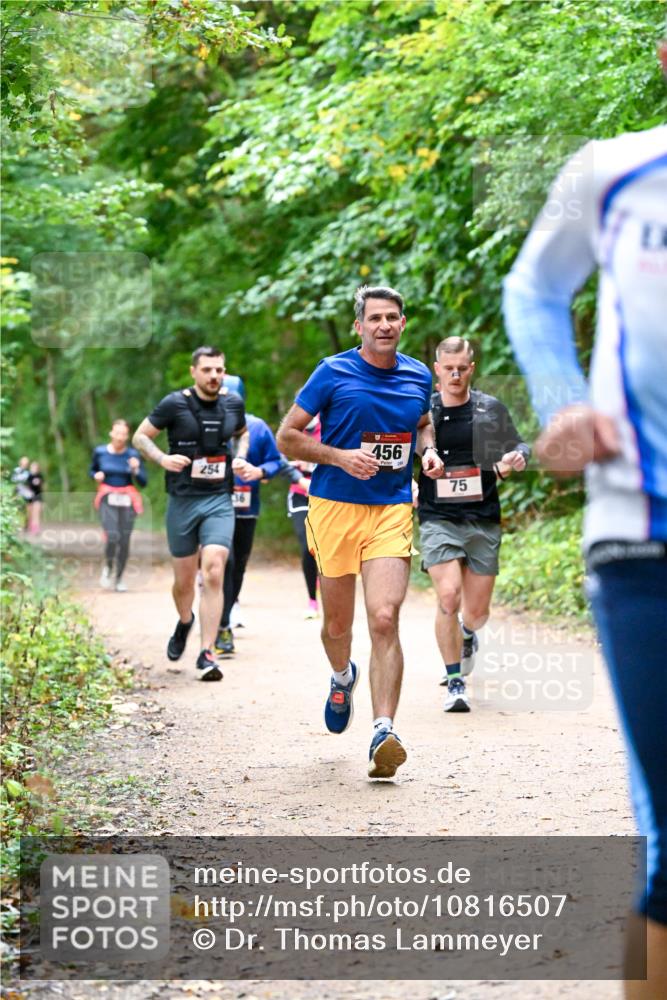 11.10.2026 - Bramfelder Halbmarathon 2026 Dr. Thomas Lammeyer http://msf.ph/oto/10816507 11.10.2026 09:53:25 Laufen 254, 36, 456, 258, 75 meine-sportfotos.de