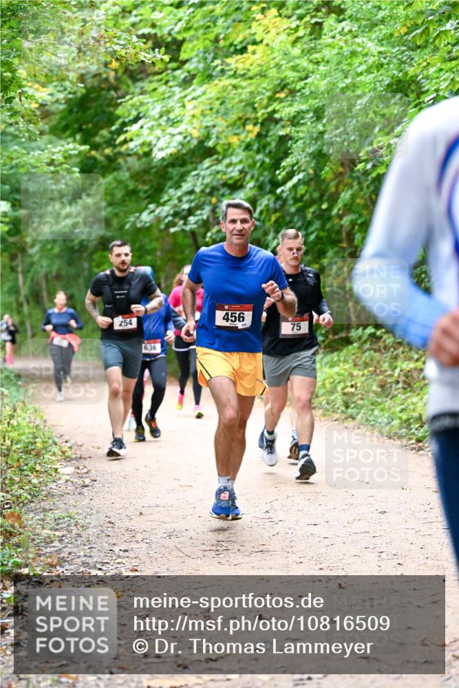 11.10.2026 - Bramfelder Halbmarathon 2026 Dr. Thomas Lammeyer http://msf.ph/oto/10816509 11.10.2026 09:53:25 Laufen 254, 636, 456, 288, 75 meine-sportfotos.de