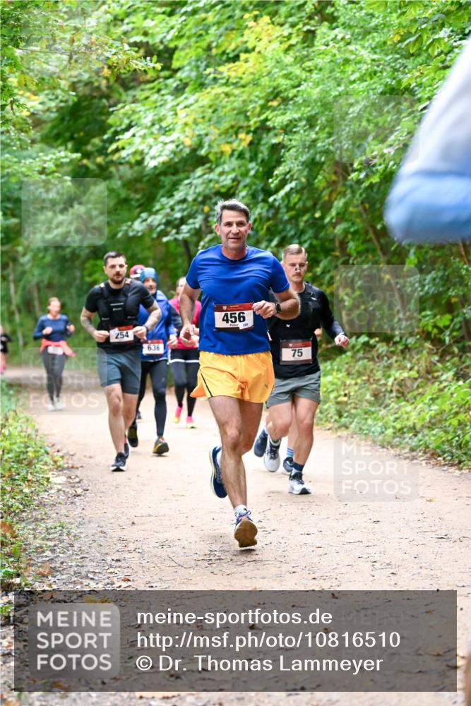 11.10.2026 - Bramfelder Halbmarathon 2026 Dr. Thomas Lammeyer http://msf.ph/oto/10816510 11.10.2026 09:53:25 Laufen 254, 636, 456, 288, 75 meine-sportfotos.de