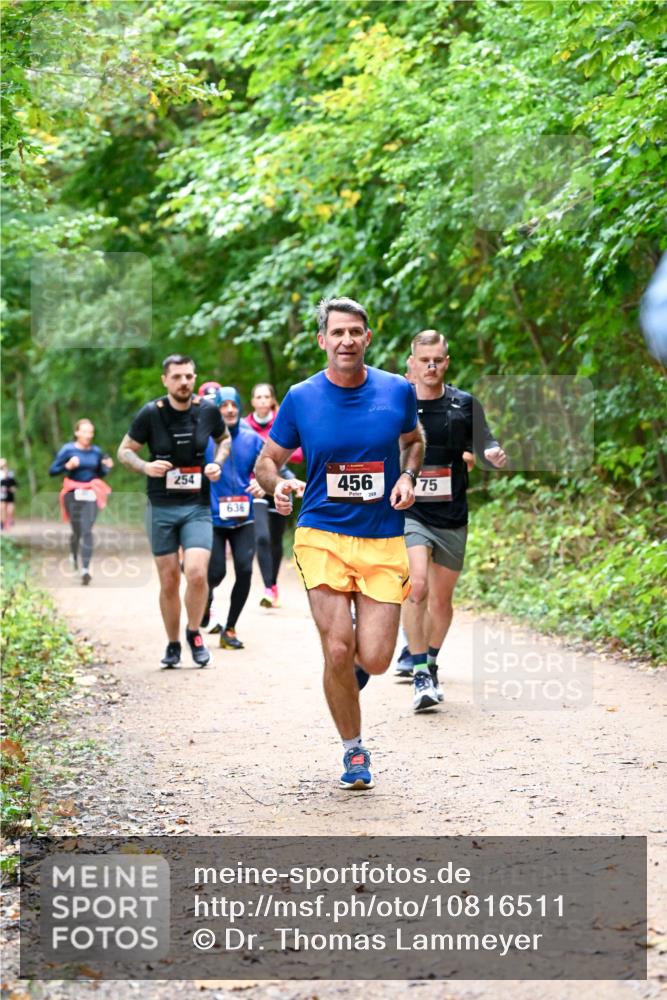 11.10.2026 - Bramfelder Halbmarathon 2026 Dr. Thomas Lammeyer http://msf.ph/oto/10816511 11.10.2026 09:53:25 Laufen 254, 4, 636, 456, 288, 75 meine-sportfotos.de