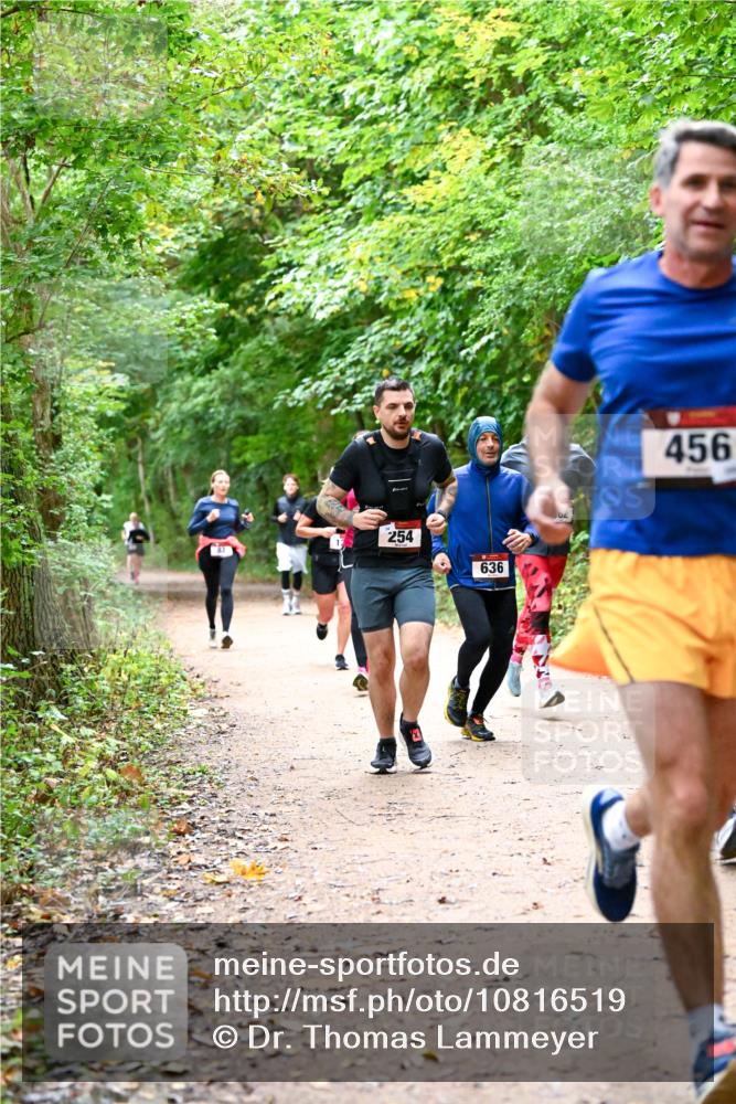 11.10.2026 - Bramfelder Halbmarathon 2026 Dr. Thomas Lammeyer http://msf.ph/oto/10816519 11.10.2026 09:53:27 Laufen 254, 636, 04, 456 meine-sportfotos.de