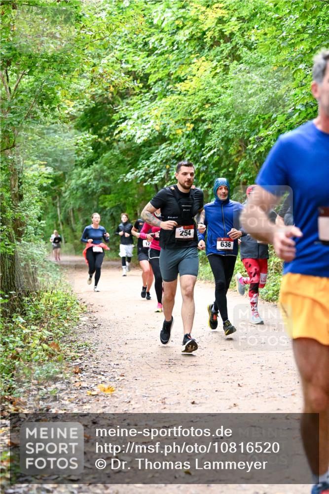 11.10.2026 - Bramfelder Halbmarathon 2026 Dr. Thomas Lammeyer http://msf.ph/oto/10816520 11.10.2026 09:53:27 Laufen 12, 254, 636 meine-sportfotos.de