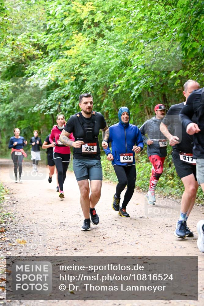 11.10.2026 - Bramfelder Halbmarathon 2026 Dr. Thomas Lammeyer http://msf.ph/oto/10816524 11.10.2026 09:53:28 Laufen 254, 636, 362, 817 meine-sportfotos.de