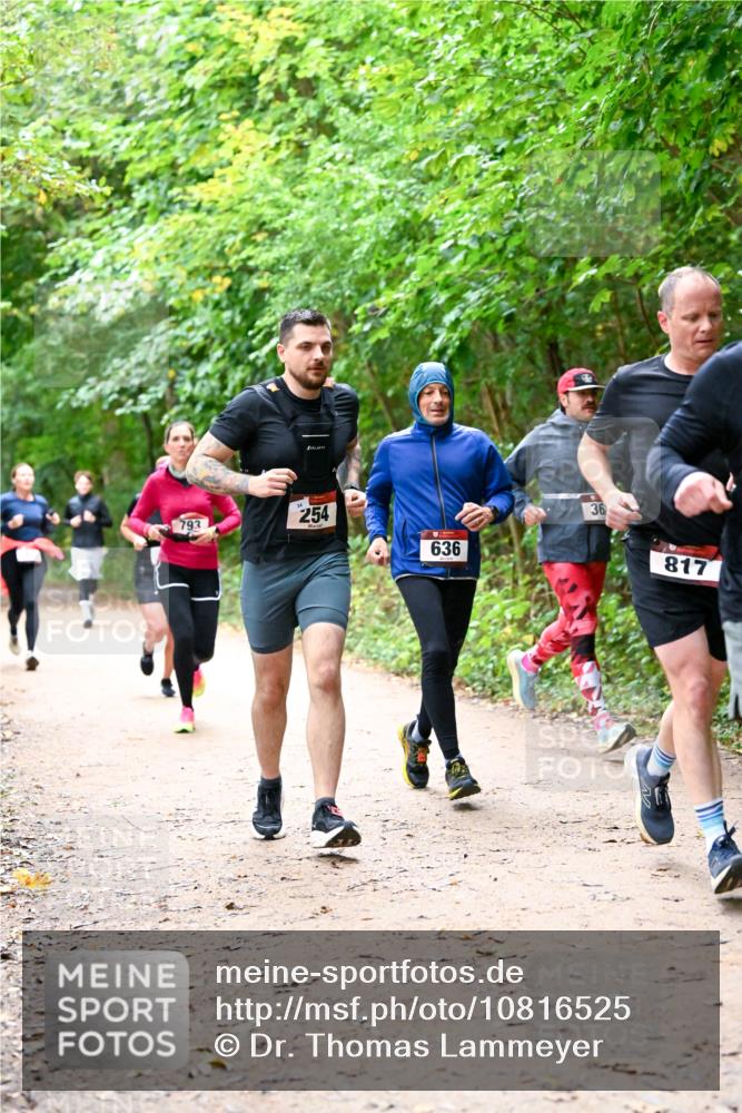 11.10.2026 - Bramfelder Halbmarathon 2026 Dr. Thomas Lammeyer http://msf.ph/oto/10816525 11.10.2026 09:53:28 Laufen 793, 254, 636, 36, 817 meine-sportfotos.de