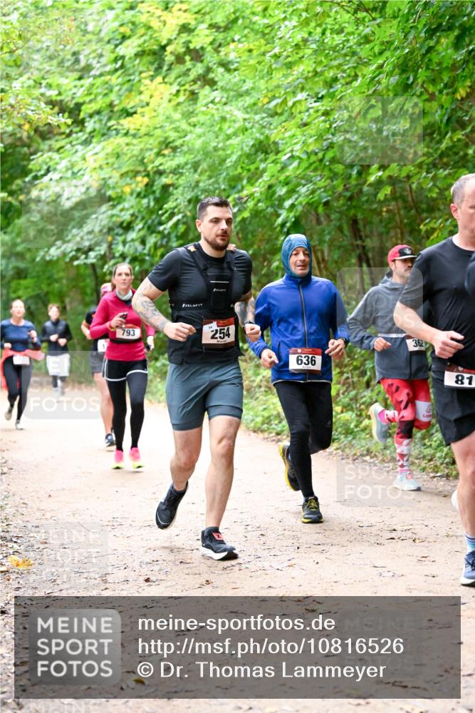 11.10.2026 - Bramfelder Halbmarathon 2026 Dr. Thomas Lammeyer http://msf.ph/oto/10816526 11.10.2026 09:53:28 Laufen 793, 34, 254, 636, 362, 81 meine-sportfotos.de